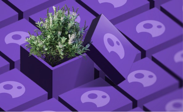 Enmascarar grupo 224